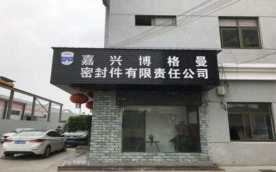 China Jiaxing Burgmann Mechanical Seal Co., Ltd. Jiashan King Kong Branch Bedrijfsprofiel