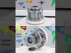 Dry Running Food Grade Agitator mechanische zegels